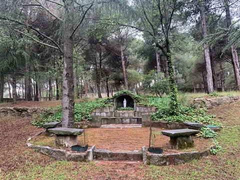 Fuente con bancos de piedra entre pinos