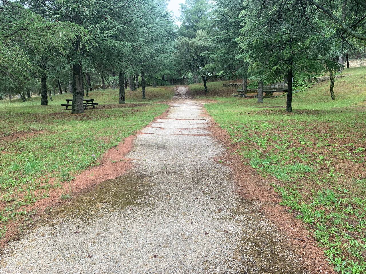 Camino entre árboles en los jardines del lugar del retiro