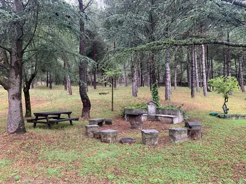 Merendero con mesas y bancos de piedra entre los árboles