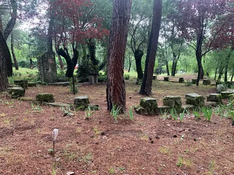 Pinar con asientos de piedra