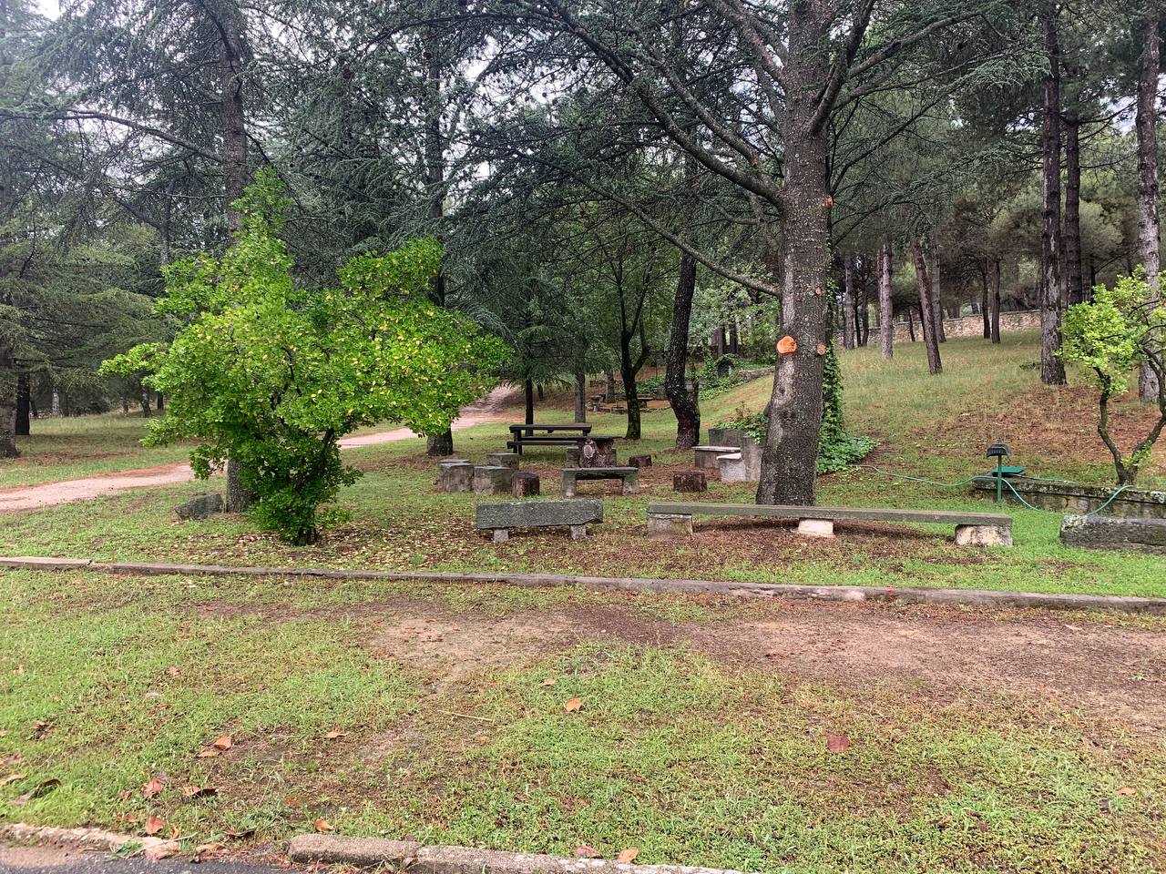 Zona de descanso con bancos bajo los árboles en el lugar del retiro